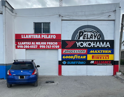 Llantera Pelayo