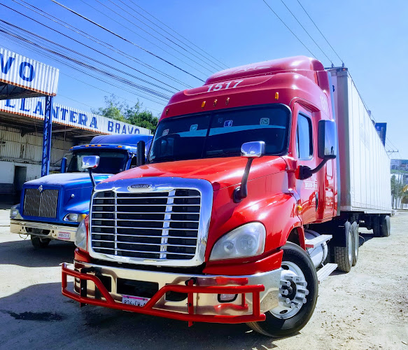 Llantera Bravo