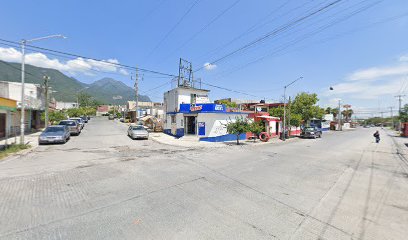 Vulcanizadora "Flores"